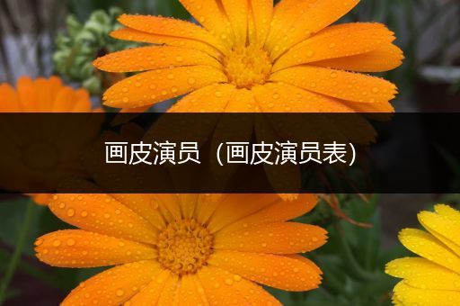画皮演员（画皮演员表）