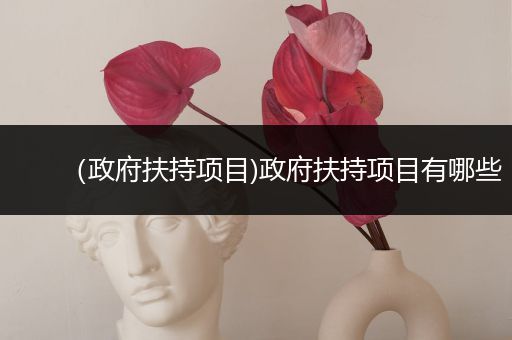 （政府扶持项目)政府扶持项目有哪些