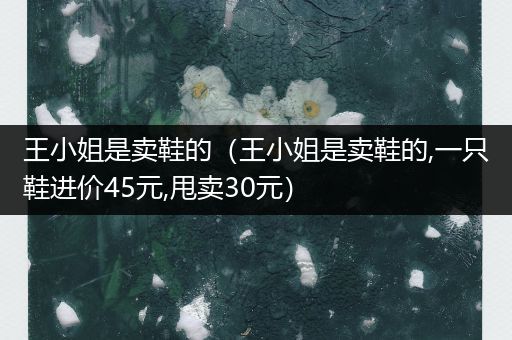 王小姐是卖鞋的(王小姐是卖鞋的,一只鞋进价45元,甩卖30元)