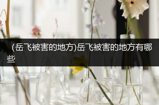 (岳飞被害的地方)岳飞被害的地方有哪些