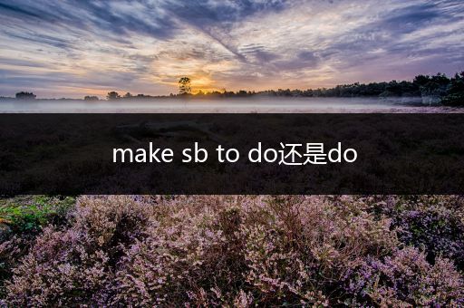 make sb to do还是do