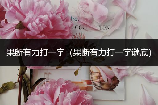 果断有力打一字(果断有力打一字谜底)
