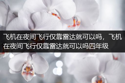 飞机在夜间飞行仅靠雷达就可以吗,飞机在夜间飞行仅靠雷达就可以吗四年级