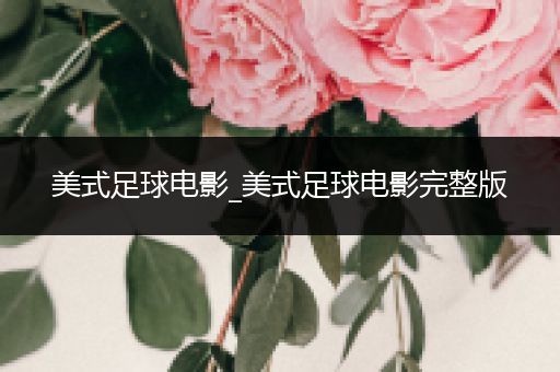 美式足球电影_美式足球电影完整版