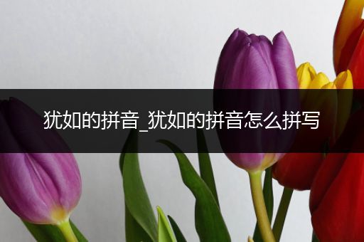 犹如的拼音_犹如的拼音怎么拼写