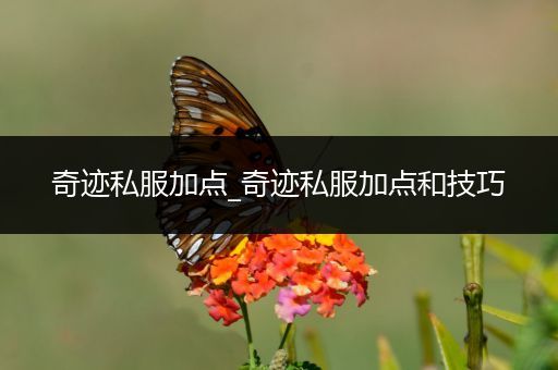 奇迹私服加点_奇迹私服加点和技巧