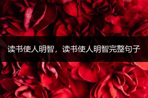 读书使人明智,读书使人明智完整句子