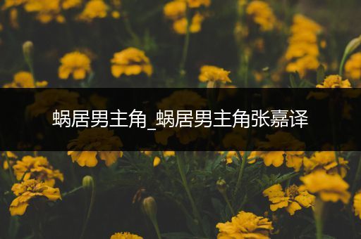 蜗居男主角_蜗居男主角张嘉译