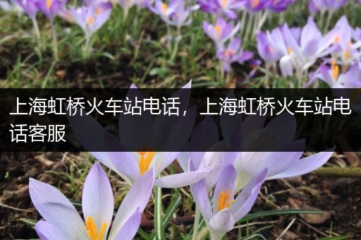 上海虹桥火车站电话，上海虹桥火车站电话客服