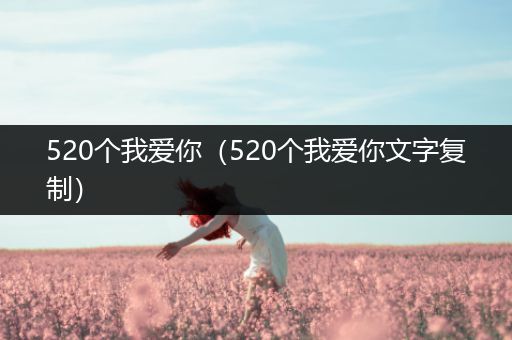 520个我爱你（520个我爱你文字复制）