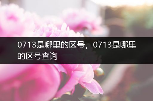 0713是哪里的区号，0713是哪里的区号查询