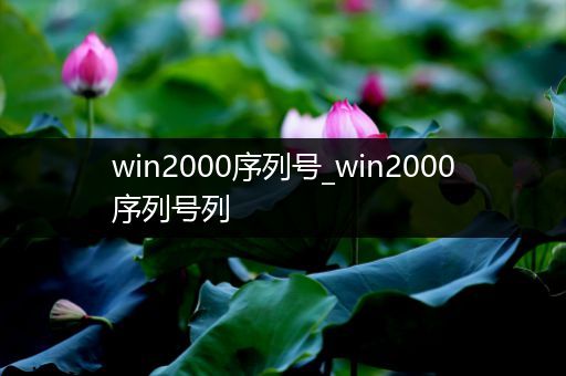 win2000序列号_win2000序列号列