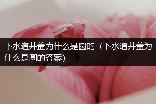 下水道井盖为什么是圆的（下水道井盖为什么是圆的答案）