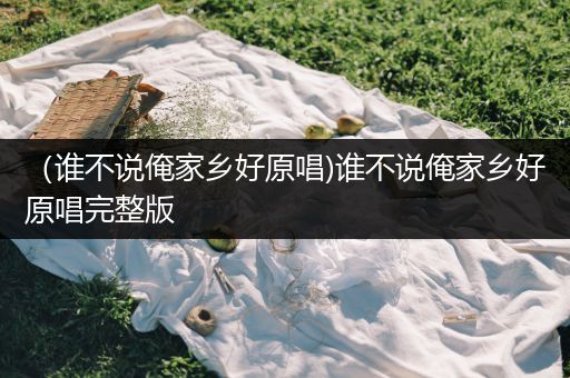 （谁不说俺家乡好原唱)谁不说俺家乡好原唱完整版