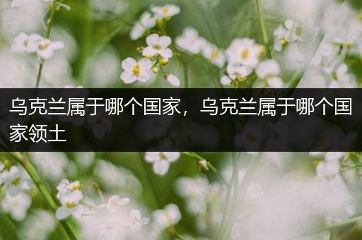 乌克兰属于哪个国家，乌克兰属于哪个国家领土