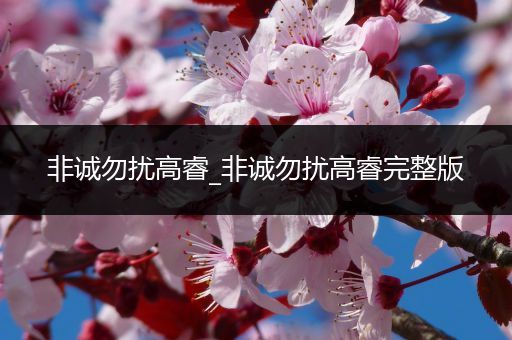 非诚勿扰高睿_非诚勿扰高睿完整版