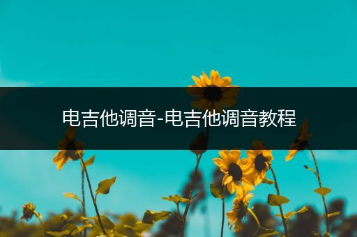 电吉他调音-电吉他调音教程