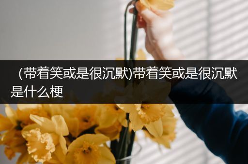 （带着笑或是很沉默)带着笑或是很沉默是什么梗