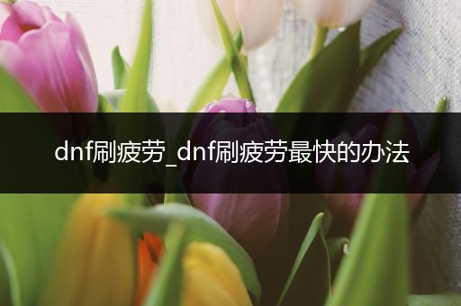 dnf刷疲劳_dnf刷疲劳最快的办法