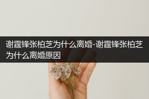 谢霆锋张柏芝为什么离婚-谢霆锋张柏芝为什么离婚原因