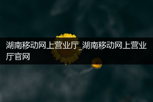 湖南移动网上营业厅_湖南移动网上营业厅官网