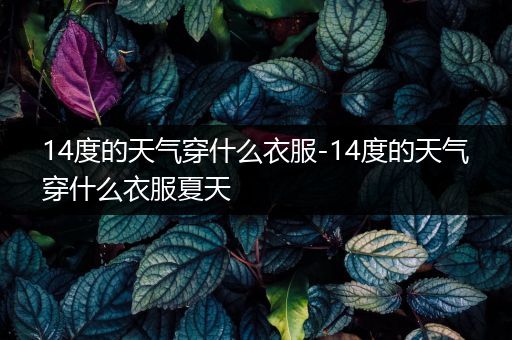 14度的天气穿什么衣服-14度的天气穿什么衣服夏天