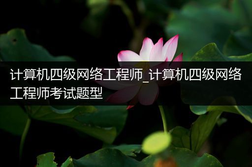计算机四级网络工程师_计算机四级网络工程师考试题型