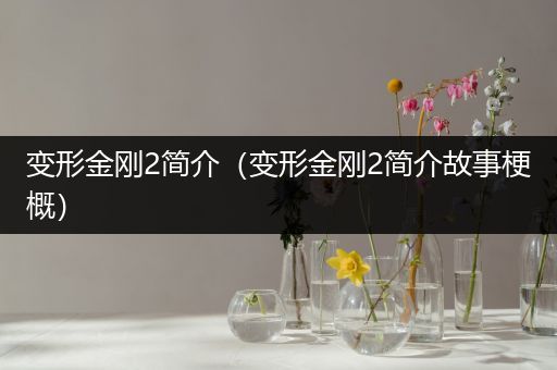 变形金刚2简介(变形金刚2简介故事梗概)
