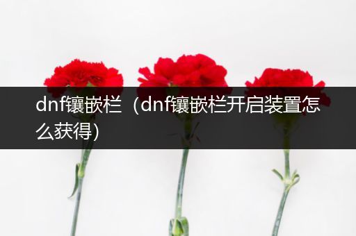dnf镶嵌栏（dnf镶嵌栏开启装置怎么获得）