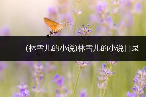 （林雪儿的小说)林雪儿的小说目录
