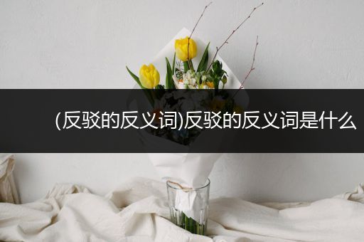 （反驳的反义词)反驳的反义词是什么