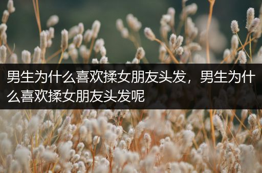 男生为什么喜欢揉女朋友头发，男生为什么喜欢揉女朋友头发呢