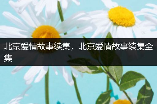 北京爱情故事续集，北京爱情故事续集全集