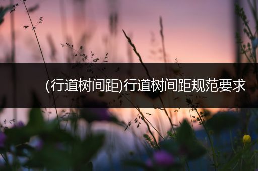 （行道树间距)行道树间距规范要求