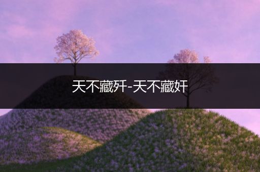 天不藏歼-天不藏奸