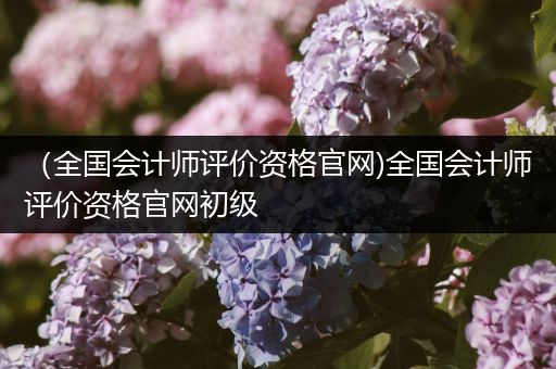 （全国会计师评价资格官网)全国会计师评价资格官网初级