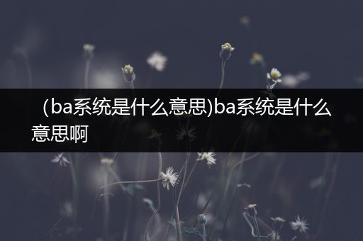 （ba系统是什么意思)ba系统是什么意思啊