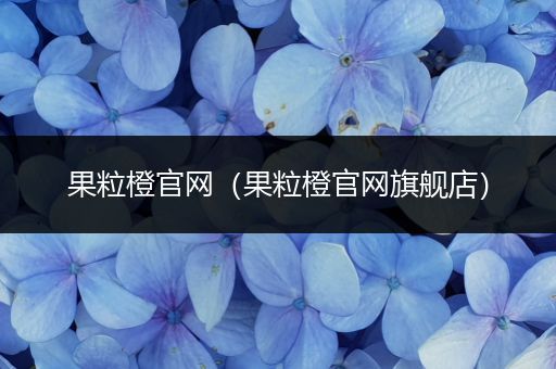 果粒橙官网（果粒橙官网旗舰店）