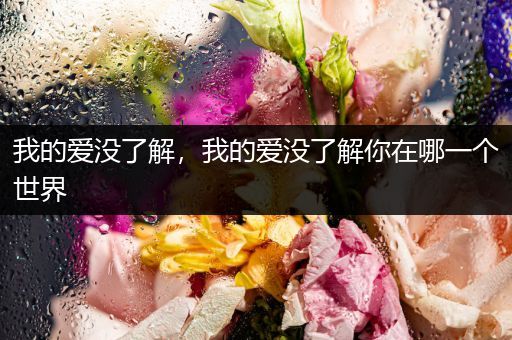 我的爱没了解，我的爱没了解你在哪一个世界