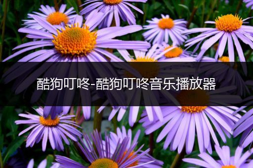 酷狗叮咚-酷狗叮咚音乐播放器