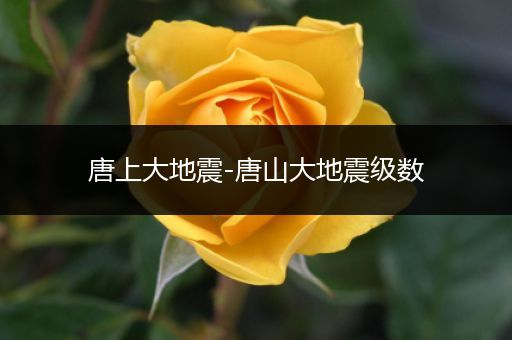 唐上大地震-唐山大地震级数