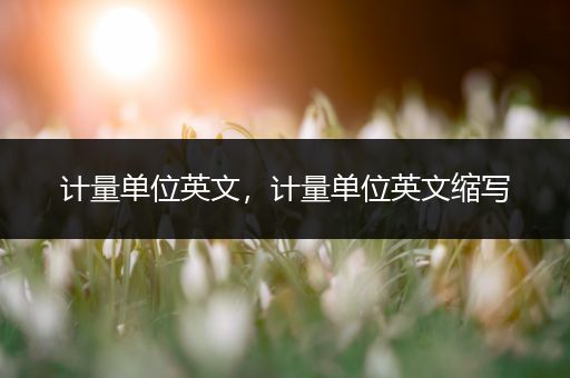 计量单位英文,计量单位英文缩写