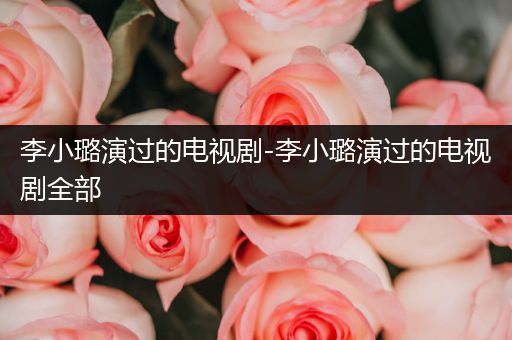 李小璐演过的电视剧-李小璐演过的电视剧全部