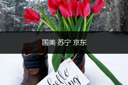 国美 苏宁 京东