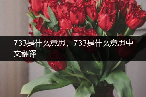 733是什么意思，733是什么意思中文翻译