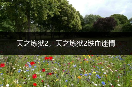 天之炼狱2，天之炼狱2铁血迷情