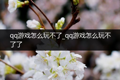 qq游戏怎么玩不了_qq游戏怎么玩不了了