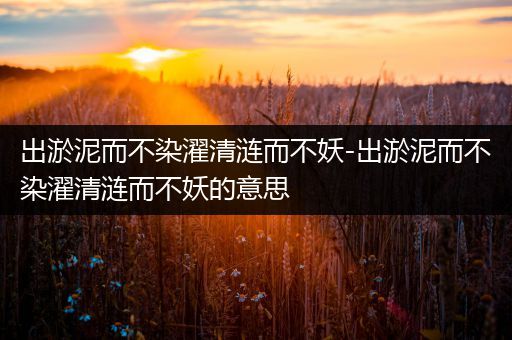 出淤泥而不染濯清涟而不妖-出淤泥而不染濯清涟而不妖的意思
