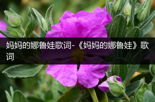 妈妈的娜鲁娃歌词-《妈妈的娜鲁娃》歌词