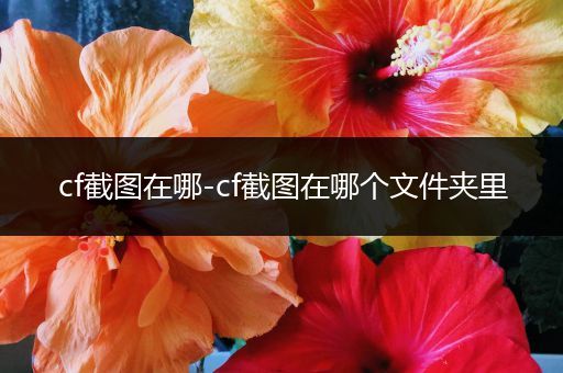 cf截图在哪-cf截图在哪个文件夹里